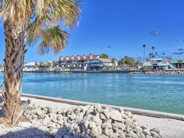 St Petersburg Beachfront Condo Rental Gulf Front Vacation Rental with Balcony